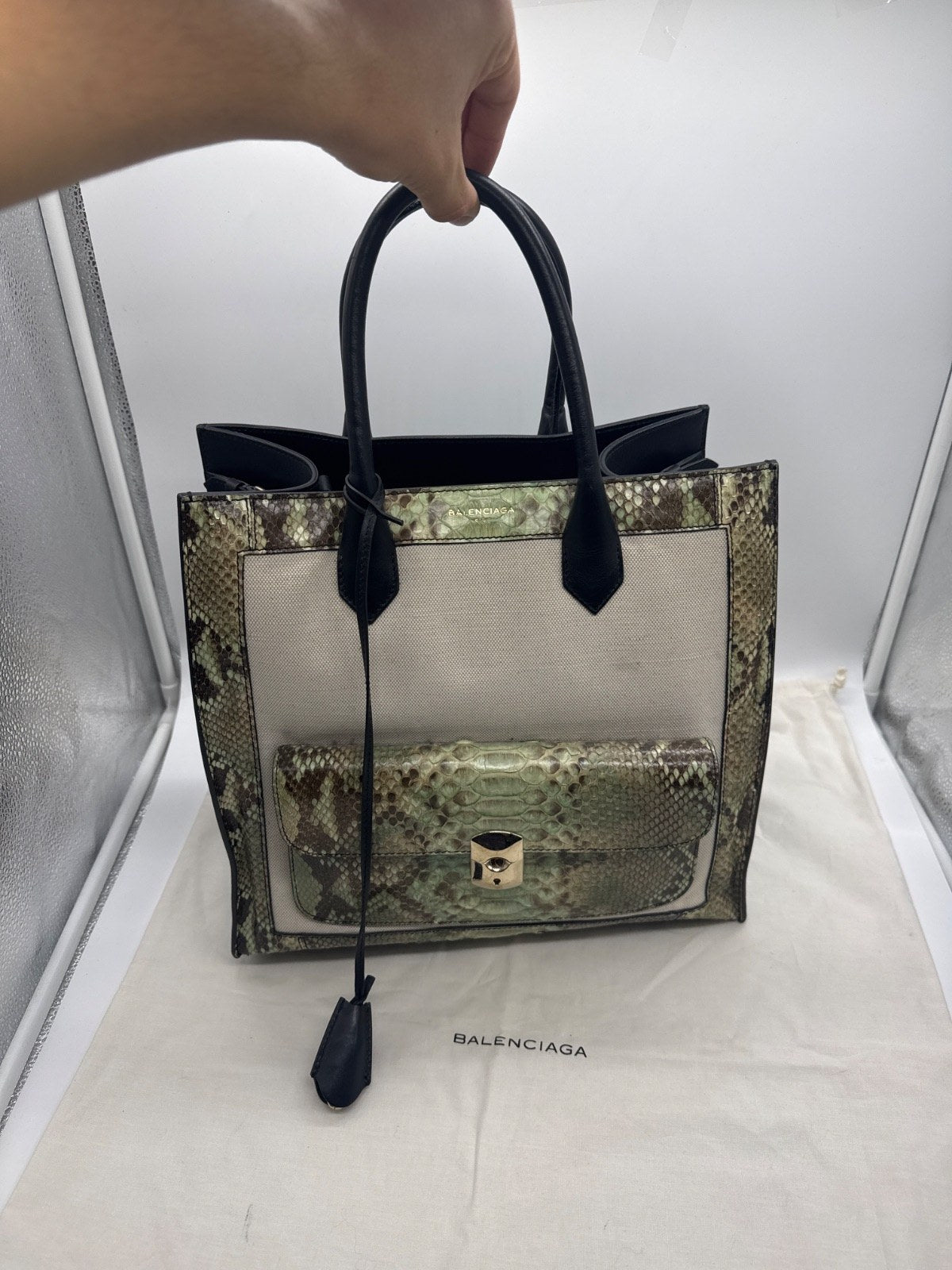 Balenciaga Medium Cabas Phantom Python Canvas Green